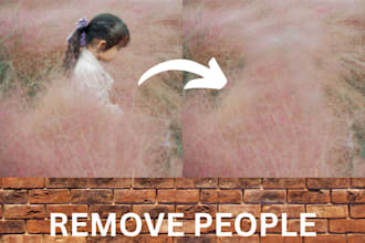 do removal of objects from images