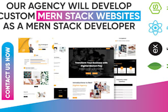 develop custom mern stack websites as a mern stack developer