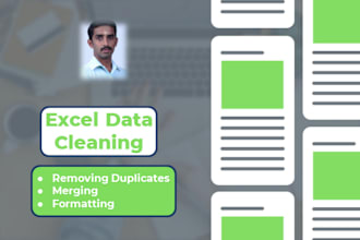 do excel data cleaning and PDF to excel conversion