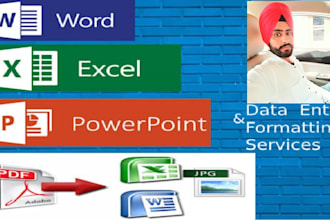 handle ms excel and word challenges, data entry