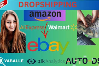 be expert ebay dropshipping