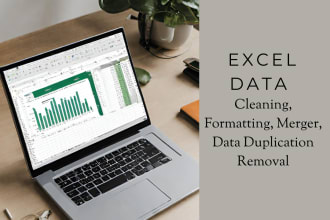do excel or CSV data cleaning, format excel spreadsheet, remove duplicate data
