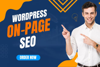 do on page SEO to expanse website organic visitors