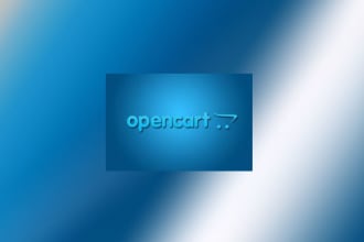 can fix anything in opencart