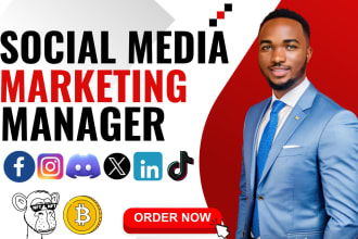 be your nft crypto token social media manager, twitter, discord, instagram, tg