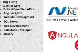 fix bugs dotnet angular make website and web development with API
