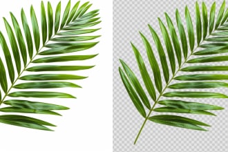 change bg, transparent bg and upscale your image upto 6x