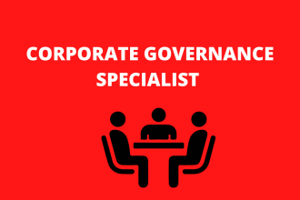 provide business consulting services