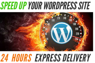 wordpress and woocommerce speed optimization expert