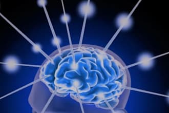 guide you through cognitive aptitude ccat, numerical, verbal, and job tests
