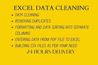 do excel, data cleaning, data entry and excel big data
