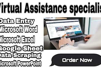 your cheapest virtual assistant for data entry