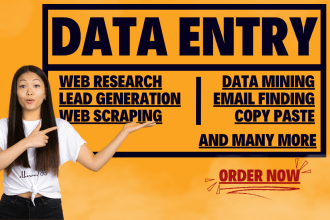 excel data entry typing work jobs, web research, copy paste, scraping, mining