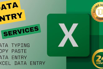 do excel data entry, copy paste, typing