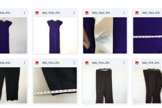 do product listing on ebay and poshmark, optimize  SEO