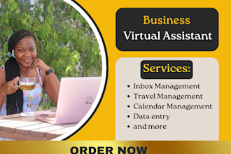 be your professional executive virtual assistant