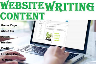 be your SEO copywriter, website content writer without using ai