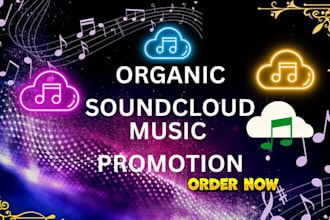 do the best viral soundcloud music promotion