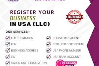 llc formation US tax preparer