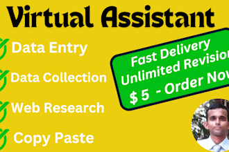 be your virtual assistant for data entry, lead generation, typing and web search