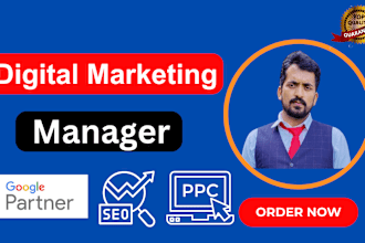do professional SEO, google ads and meta ads, and website optimization