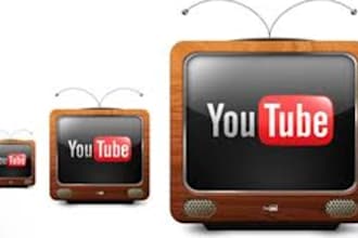 provide 1000 real youtube views and 50 likes on your video