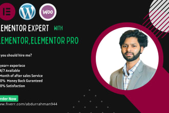 be your elementor expert with elementor,elementor pro