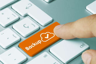 your sql server database backup