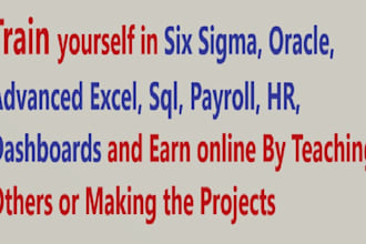 teach sixsigma oracle adv excel sql payroll HR dashboard to let u earn a lot