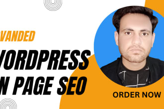 do advanced wordpress onpage SEO