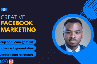 setup and manage facebook ad campaign, instagram ad campaign, meta advertising