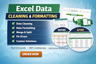 clean, format, merge, and organize excel data professionally