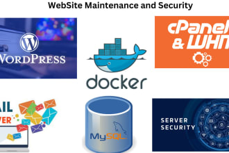 do website maintenance and security