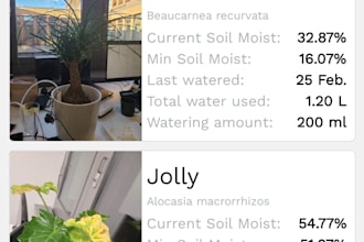 develop a native app using net maui