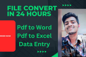 convert pdf to excel, pdf to word, or data entry