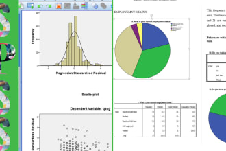 be your data analyst for spss data analysis