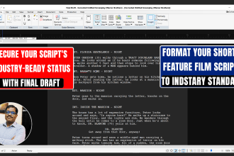 format your screenplay and scripts to industry standard