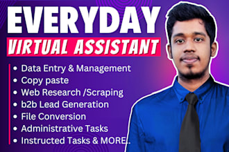 be an efficient admin virtual assistant for data entry, web research and more