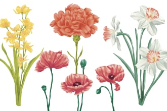make premium botanical digital painting