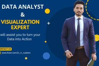 do professional data analysis using power bi, power query, and excel