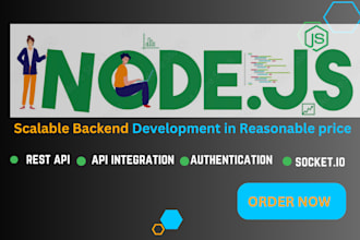 develop node js rest apis, frontend UI, and fix bugs professionally