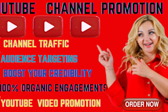 do raided youtube shoutout promotion to gain massive gain engagement, audience