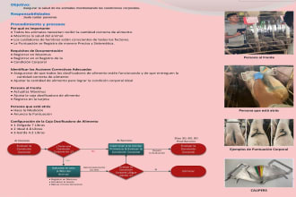 provide sop documents for streamlining your processes for success