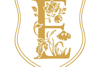 do modern bat or bar mitzvah logo
