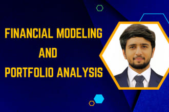 do financial modeling and portfolio analysis