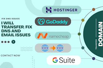 fix namecheap godaddy hostinger email and dns issues domain transfer g suite