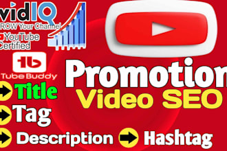 best video SEO and promotion for your youtube channel, video promotion