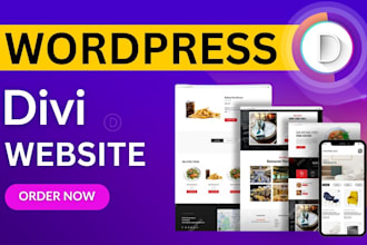 be your divi theme expert to design wordpress business website or landing page
