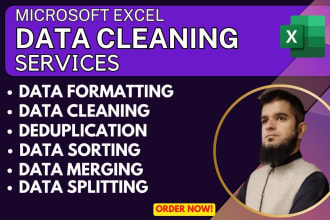 do ms excel spreadsheet expert data cleanup