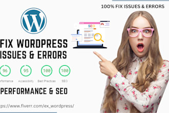 fix wordpress issues, errors, performance, and SEO